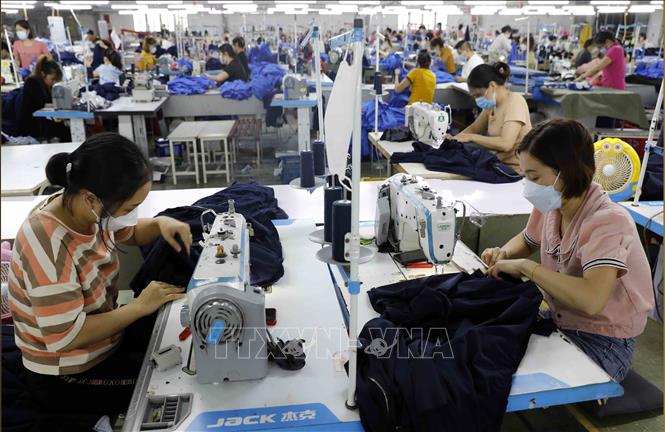 Trong ảnh: May hàng xuất khẩu tại Công ty may Hoàng Tùng tại Nông Cống, Thanh Hóa. Ảnh: Trần Việt - TTXVN