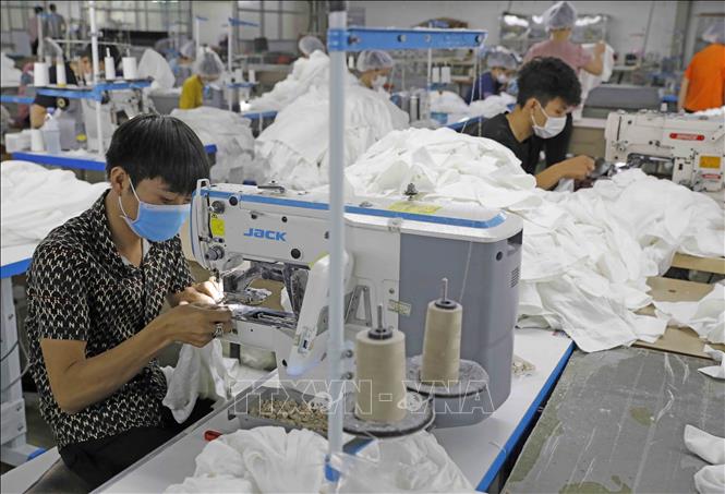 Trong ảnh: May hàng xuất khẩu tại Công ty may Hoàng Tùng. Ảnh: Trần Việt - TTXVN