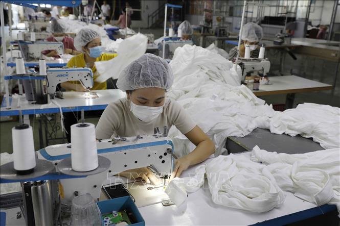 Trong ảnh: May hàng xuất khẩu tại Công ty may Hoàng Tùng. Ảnh: Trần Việt - TTXVN