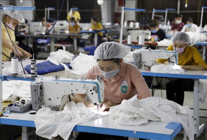 Trong ảnh: May hàng xuất khẩu tại Công ty may Hoàng Tùng. Ảnh: Trần Việt - TTXVN