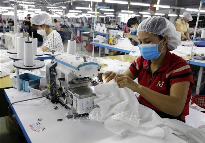 Trong ảnh: May hàng xuất khẩu tại Công ty may Hoàng Tùng. Ảnh: Trần Việt - TTXVN