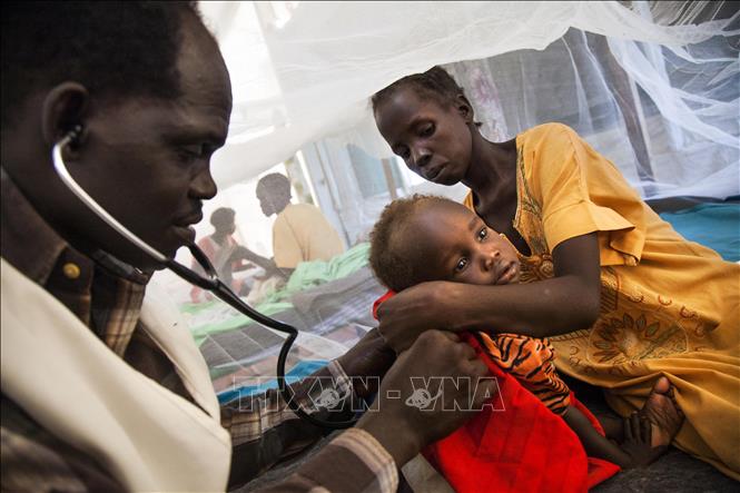 Trong ảnh: Điều trị cho trẻ em bị suy dinh dưỡng  tại Malakal, Nam Sudan. Ảnh: AFP/TTXVN