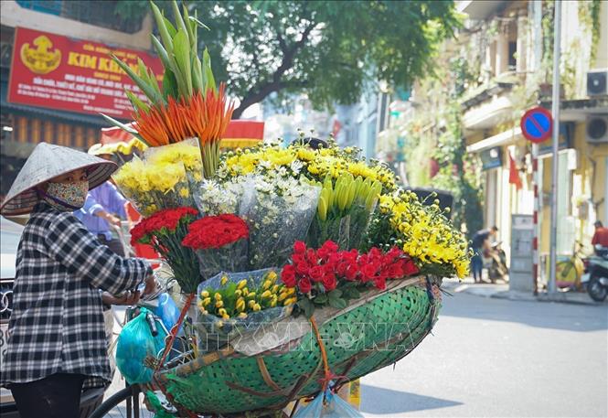 Các xe hoa rong được nhìn thấy ở khắp các ngõ ngách của Hà Nội, buổi sáng nhiều hơn buổi chiều do nhu cầu và độ tươi của hoa. Ảnh: Khánh Hoà - TTXVN