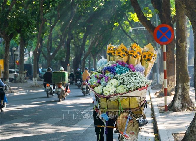 Một xe hoa rong trên phố Phan Đình Phùng. Ảnh: Khánh Hoà - TTXVN
