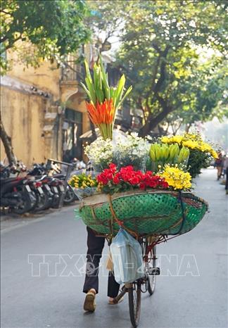 Một xe hoa rong trên phố Hàng Buồm. Ảnh: Khánh Hoà - TTXVN