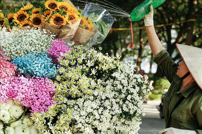 Các loại hoa được tưới thường xuyên đảm bảo độ tươi trong cả ngày. Ảnh: Khánh Hoà - TTXVN 