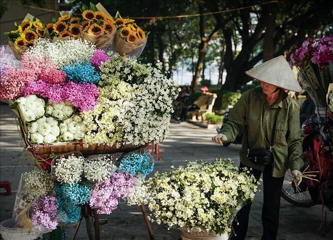 Xe hoa rong có rất nhiều loại hoa đặc trưng theo mùa. Ảnh: Khánh Hoà - TTXVN