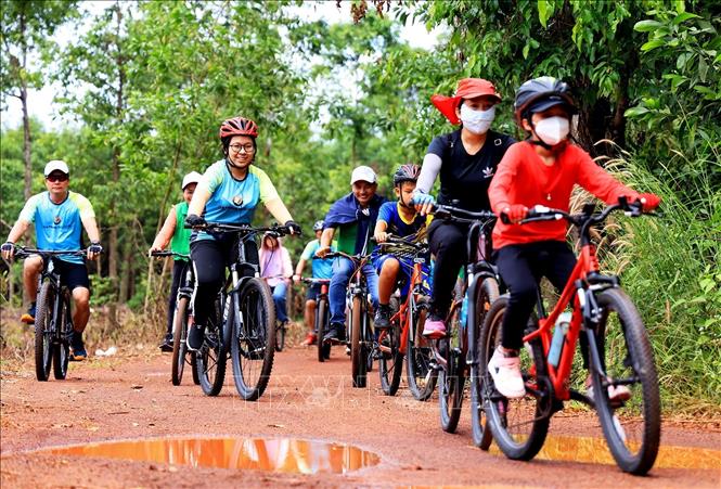 Trải nghiệm đạp xe xuyên rừng - khám phá rừng nhiệt đới Mã Đà. Ảnh: Hồng Đạt - TTXVN
