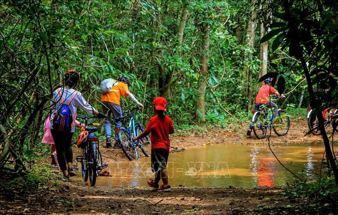 Đạp xe xuyên rừng nhiệt đới Mã Đà mang lại những trải nghiệp đặc biệt cho du khách. Ảnh: Hồng Đạt - TTXVN
