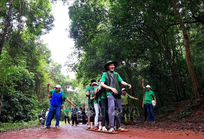 Tham gia team building trong rừng nhiệt đới Mã Đà. Ảnh: Hồng Đạt - TTXVN
