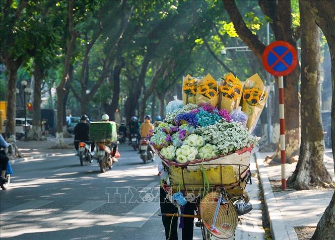A flower vendor on the greenest street of Hanoi - Phan Dinh Phung street. VNA Photo: Khánh Hoà