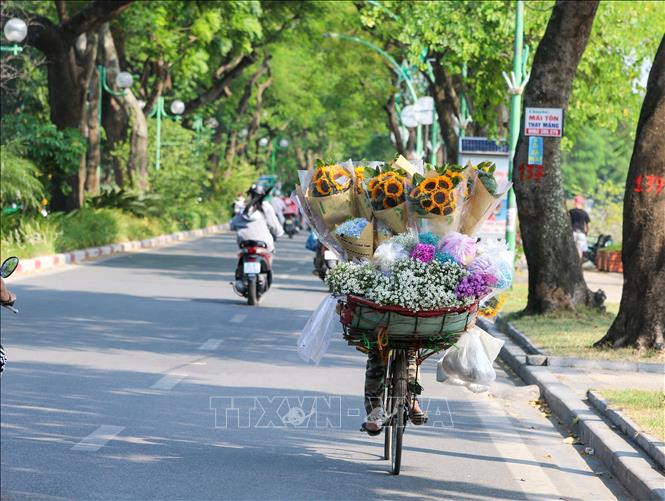 A flower vendor cycles on Thanh Nien street - one of the most beautiful streets of Hanoi with two lakes on both its sides. VNA Photo: Khánh Hoà