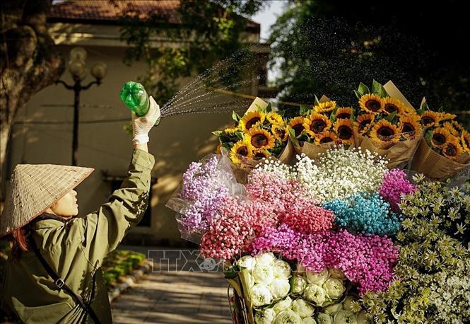 A flower vendor waters her flowers. In the back of her bike are sunflowers, daisies, colourful wild flowers and peonies. VNA Photo: Khánh Hoà