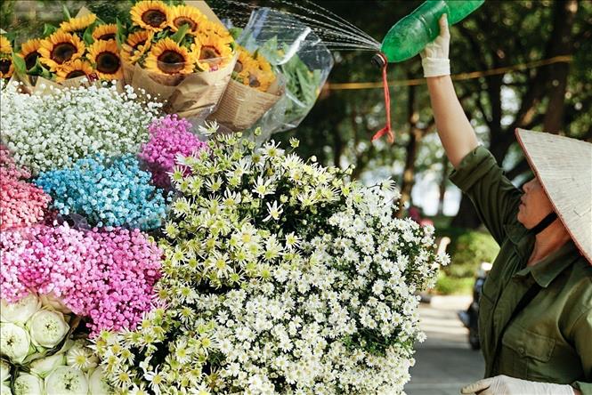A flower vendor waters her flowers. VNA Photo: Khánh Hoà