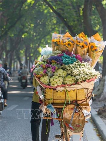 A street vendor with her colourful flowers, daisies among them as the sign of Hanoi autumn. VNA Photo: Khánh Hoà