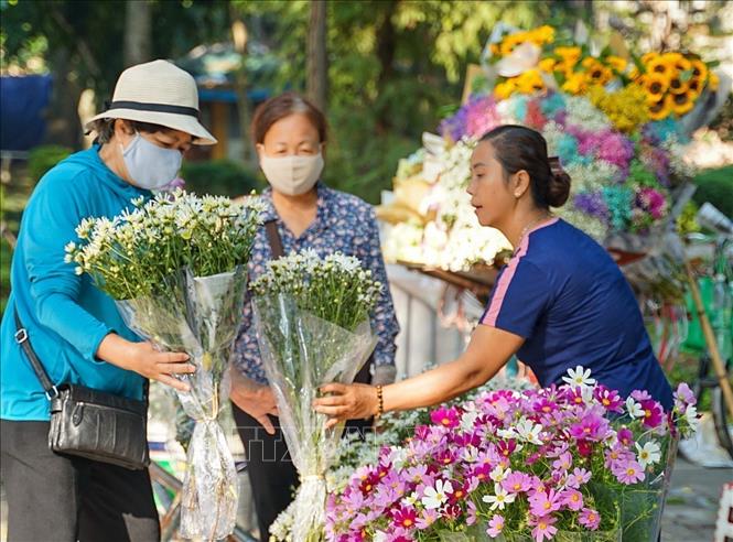 In Hanoi autumn, it is a quite common sight to see locals buying daisy flowers. VNA Photo: Khánh Hoà 