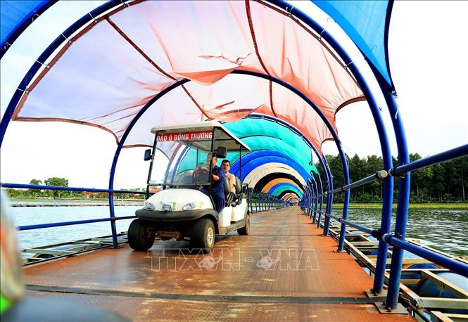 Trong ảnh: Du khách đi xe điện qua cầu phao nối hai hòn đảo. Ảnh: Hồng Đạt - TTXVN
