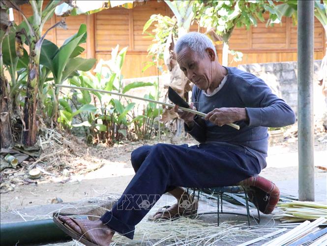 Trong ảnh: Người dân bản Lĩnh (xã Mường Pồn, huyện Điện Biên, tỉnh Điện Biên) chuẩn bị nguyên liệu để đan các sản phẩm mây, tre đan truyền thống. Ảnh: Xuân Tiến – TTXVN  