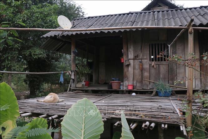 Trong ảnh: Nhiều hộ gia đình người Thái ở bản Lĩnh vẫn bảo lưu, gìn giữ được không gian văn hóa đặc trưng tại những ngôi nhà sàn truyền thống. Ảnh: Xuân Tiến – TTXVN 