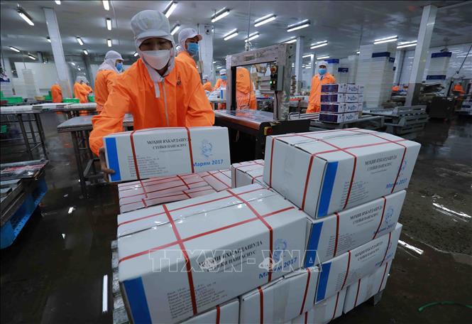 Sản phẩm thuỷ sản đông lạnh xuất khẩu sang thị trường nga của Công ty Navico. Ảnh: Vũ Sinh - TTXVN