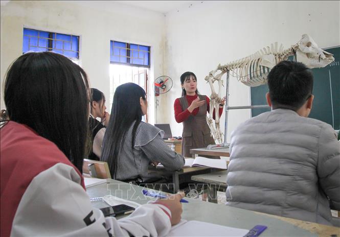 Trong ảnh: Học sinh Trường Cao đẳng Kỹ thuật Công nghiệp Hà Giang học tại lớp ngành Thú y. Ảnh: Nam Thái - TTXVN