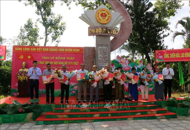 Lãnh đạo tỉnh Đồng Tháp trao Huy hiệu 50 năm tuổi Đảng cho đảng viên. Ảnh: Nhựt An - TTXVN