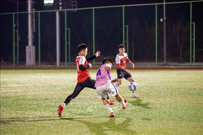 Trong ảnh: Pha cản phá quyết liệt của cầu thủ đội tuyển Gwangju FC (áo đỏ) và đội tuyển Bucheon FC (áo hồng) trong trận chung kết. Ảnh: Anh Nguyên - PV TTXVN tại Hàn Quốc