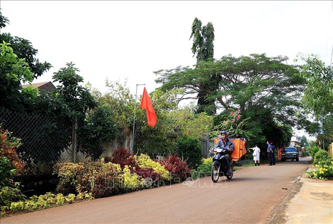 A new-style rural model in Xuan Dinh commune, Xuan Loc district. VNA Photo: Hồng Đạt 