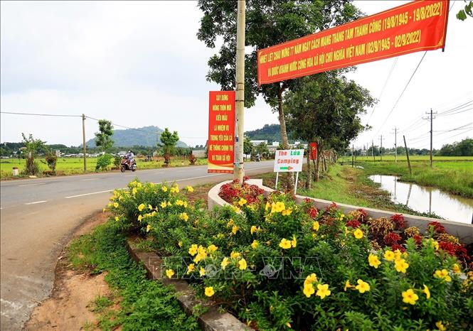A rural road in Lang Minh commune, Xuan Loc district. VNA Photo: Hồng Đạt 
