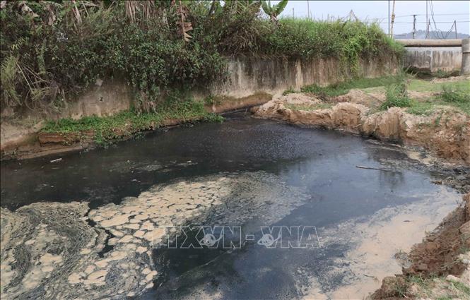 Hố đựng nước thải trong quá trình sơ chế củ, chế biến bột dong riềng được chủ cơ sở đào, đắp trên lòng suối gây ô nhiễm môi trường. Ảnh: Xuân Tiến – TTXVN 
