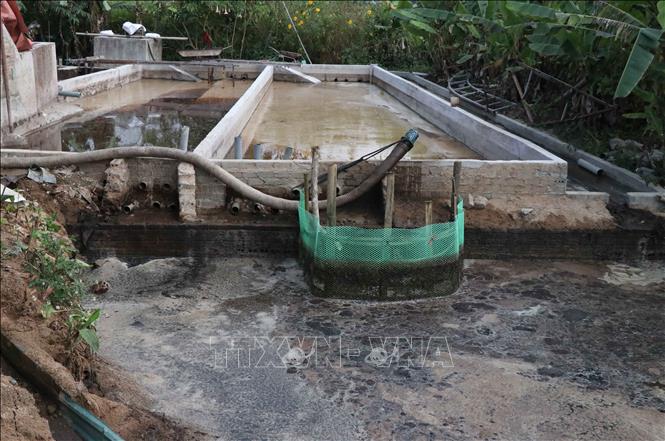 Nguồn nước bẩn từ bể lắng được thải trực tiếp ra bãi thải, thẩm thấu trực tiếp xuống lòng đất tại một cơ sở chế biến củ dong riềng trên địa bàn thành phố Điện Biên Phủ (tỉnh Điện Biên). Ảnh: Xuân Tiến – TTXVN 