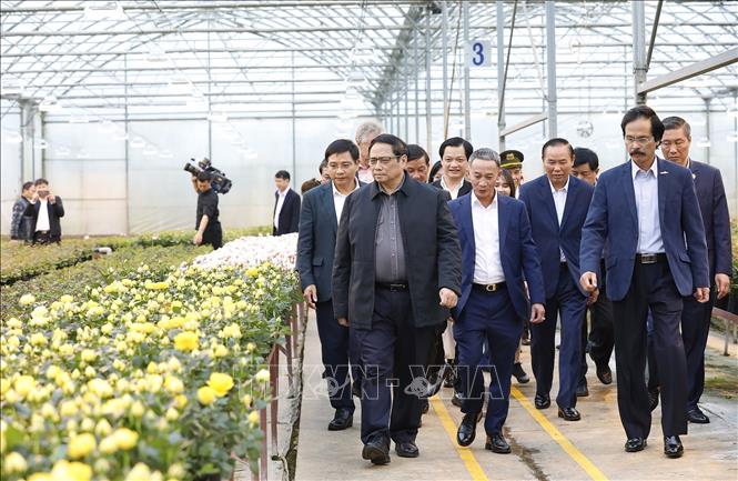 PM Pham Minh Chinh visits the Dalat Hasfarm Company Limited that provides flower varieties. VNA Photo: Dương Giang