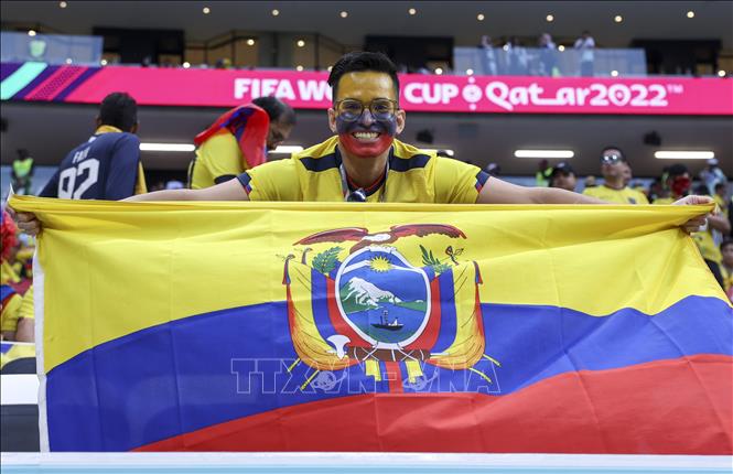 WORLD CUP 2022: Qatar gặp Ecuador trong trận mở màn - Ảnh thời sự ...