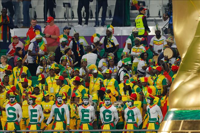 Trong ảnh: Các cổ động viên đội tuyển Senegal trước trận đấu với Hà Lan. Ảnh: AFP/TTXVN