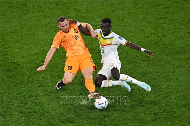 Tiền đạo Hà Lan Vincent Janssen (trái) truy cản quyết liệt pha lên bóng của trung vệ Idrissa Gana Gueye (Senegal). Ảnh: AFP/TTXVN