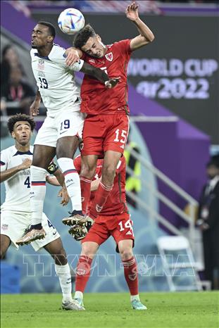 Trong ảnh: Pha tranh bóng bổng giữa Haji Wright (giữa) của tuyển Mỹ với Ethan Ampadu (phải) của Xứ Wales. Ảnh: THX/TTXVN