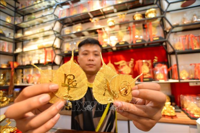 Trong ảnh: Tất cả những đường vân của xương lá vẫn giữ được nguyên bản, mỏng manh như những sợi tơ có thể nhìn xuyên qua. Ảnh: Minh Đức – TTXVN