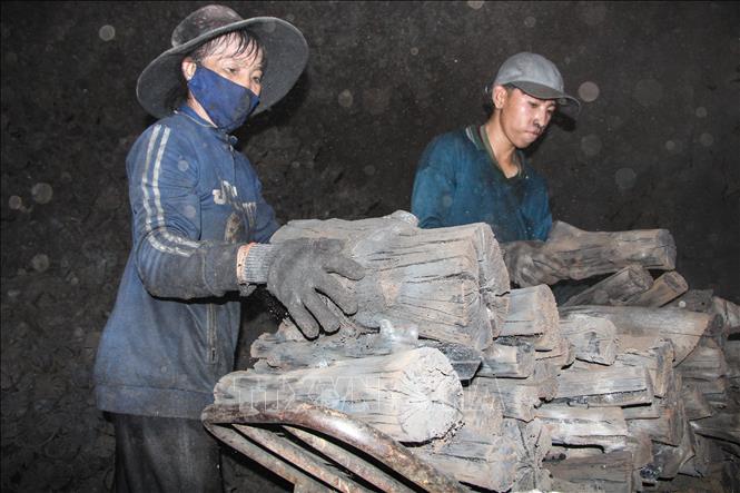 Trong ảnh: Vận chuyển than củi thành phẩm. Ảnh: Hồng Thái - TTXVN