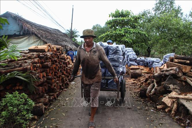 Trong ảnh: Vận chuyển than để xuất bán đi các tỉnh. Ảnh: Hồng Thái - TTXVN