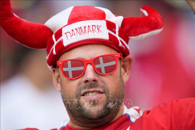 Trong ảnh: Cổ động viên Đan Mạch cổ vũ đội nhà trong trận gặp Tunisia tại bảng D World Cup 2022. Ảnh: THX/ TTXVN