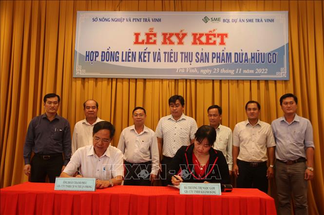 Trong ảnh: Ký kết thu mua sản phẩm giữa Công ty TNHH Chế biến Nông sản Thuận Phong và Công ty TNHH Khánh Đăng. Ảnh: Phúc Sơn – TTXVN.
