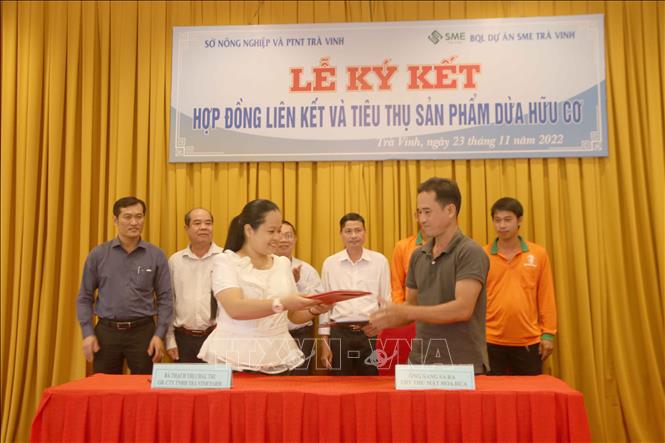 Trong ảnh: Ký kết thu mua sản phẩm giữa Công ty TNHH Trà Vinh Farm và Tổ hợp tác Mật hoa dừa Tiểu Cần. Ảnh: Phúc Sơn – TTXVN.