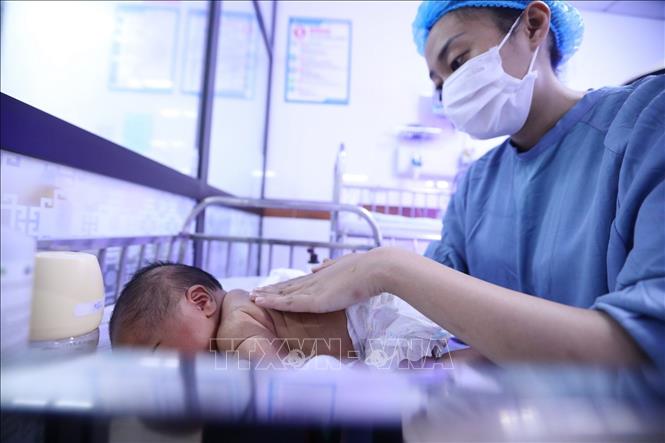 Khu điều trị tích cực cho bệnh nhi sơ sinh tại Bệnh viện Đa khoa Hùng Vương (Phú Thọ). Ảnh: Minh Quyết - TTXVN