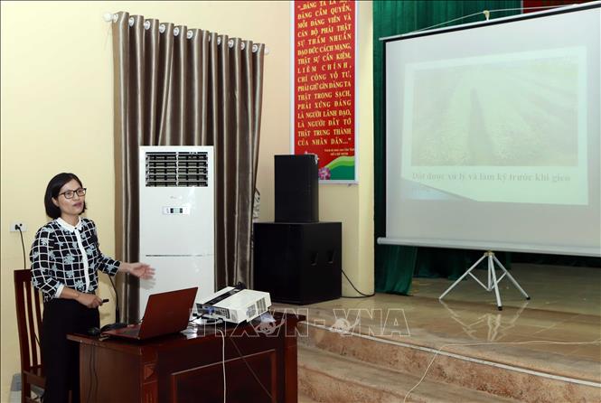 Cán bộ kĩ thuật Chi cục trồng trọt bảo vệ thực vật Vĩnh Phúc Lê Thị Kim Ngân báo cáo kết quả thực hiện mô hình sản xuất rau hữu cơ 2020-2022. Ảnh: Hoàng Hùng - TTXVN