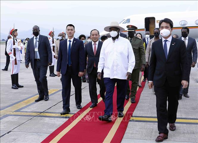 President Yoweri Kaguta Museveni is welcomed at the Hanoi-based Noi Bai International Airport. VNA Photo: An Đăng