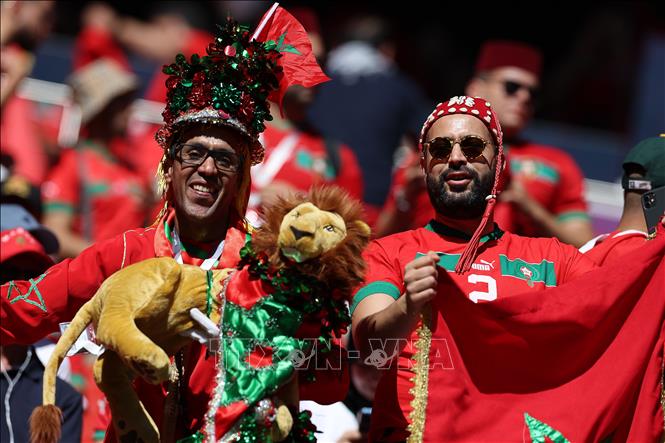 Trong ảnh: Cổ động viên đội tuyển Maroc cổ vũ trong trận đấu với đội tuyển Croatia. Ảnh: AFP/TTXVN