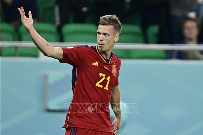 Tiền đạo Dani Olmo ăn mừng bàn thắng mở tỷ số cho đội tuyển Tây Ban Nha. Ảnh: AFP/TTXVN