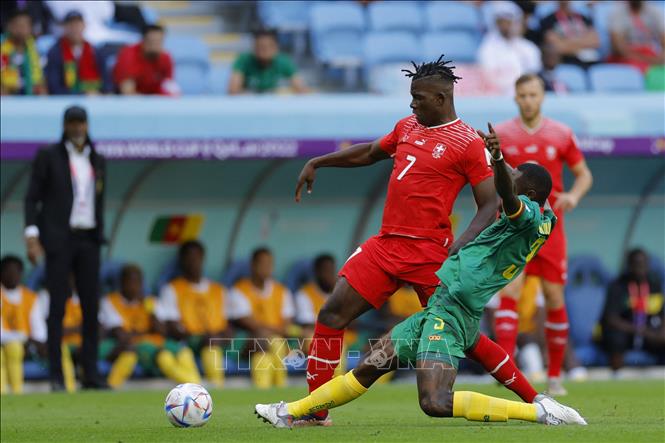 Pha tranh bóng giữa tiền đạo Breel Embolo (số 7) của Thụy Sĩ và hậu vệ Nicolas Nkoulou của Cameroon. Ảnh: AFP/TTXVN