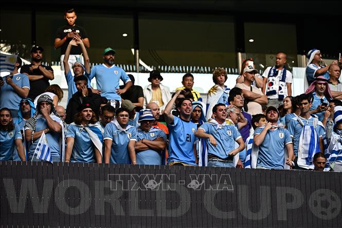 Cổ động viên Uruguay cổ vũ đội nhà. Ảnh: AFP/ TTXVN