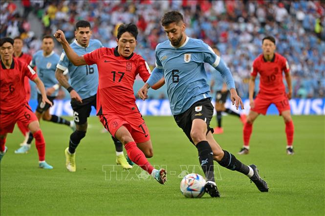 Hàn Quốc đẩy cao đội hình, cầm bóng tới 80% và chơi pressing. Uruguay bình tĩnh phòng ngự để ngăn các tình huống lên bóng nhanh của đối phương. Ảnh: AFP/ TTXVN